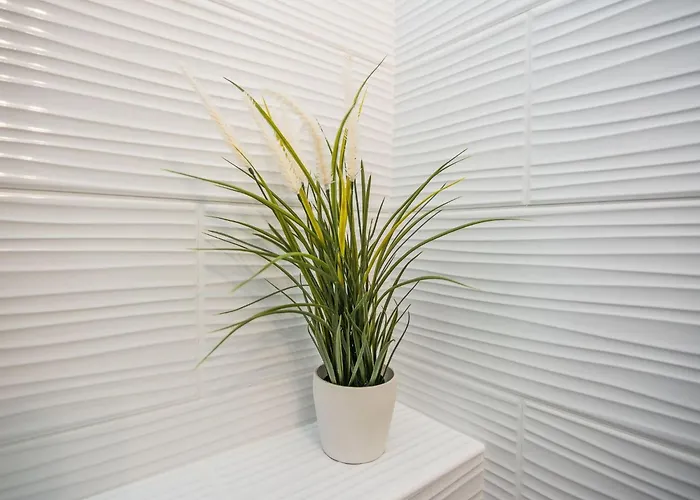 公寓 Kosic 4 By Interhome *